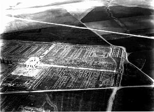 ALGERIE-RUINES ROMAINES DE LAMBESE (6)